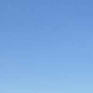 Meet your Posher, Dylan